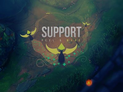 Support role guide by elo booster