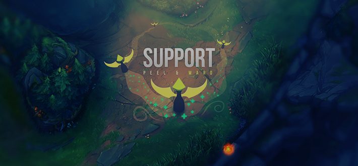 Support role guide by elo booster